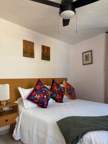 dji_20260219_124049_054